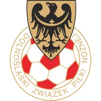 Dolnośląski_Związek_Piłki_Nożnej_Logo